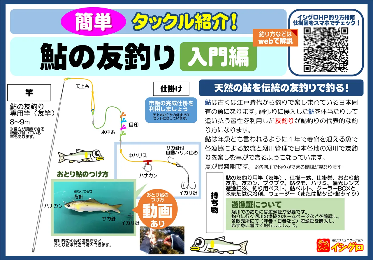 鮎の友釣り＜入門編＞｜釣具のイシグロ |釣り情報サイト